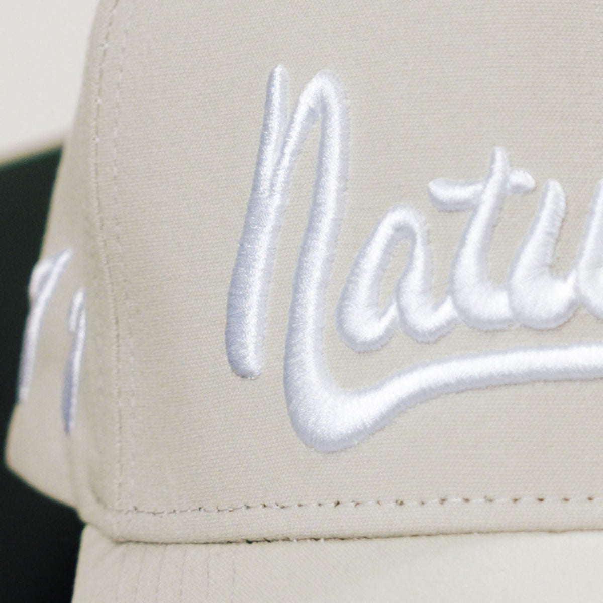 Signature Font SnapBack - Grey
